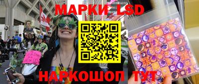 гидропоника Краснодар