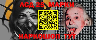 гидропоника Краснодар