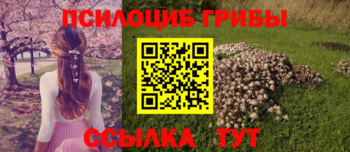 Казань  Псилоцибиновые грибы ЛСД  где можно купить   Вход с VPN 