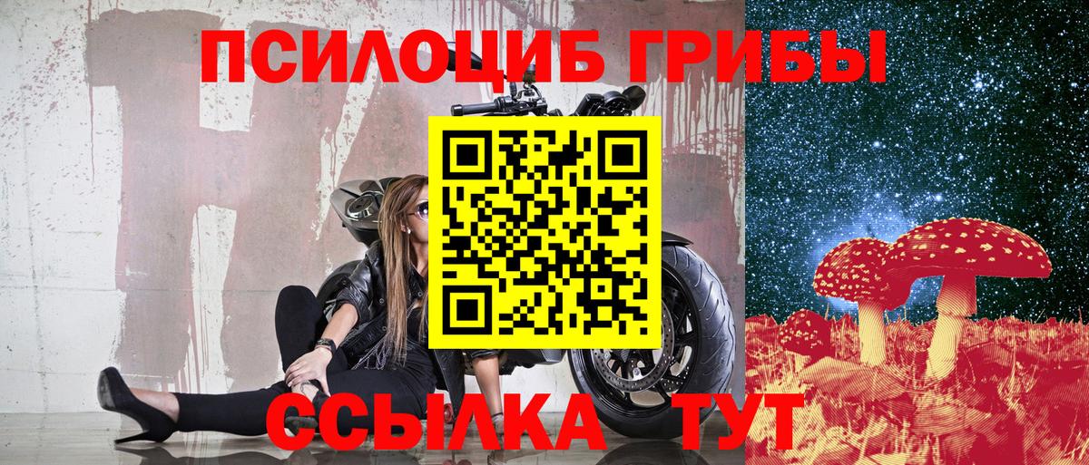 Галлюциногенные грибы MAGIC MUSHROOMS Казань